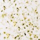 Гел със сухи цветя Flower gel №01 4 мл.