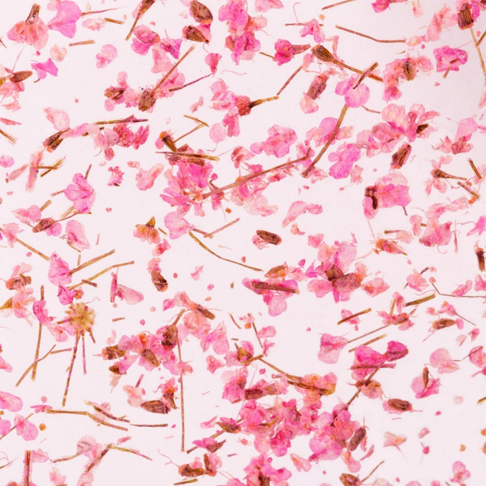 Гел със сухи цветя Flower gel №03 4 мл.