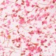 Гел със сухи цветя Flower gel №03 4 мл.