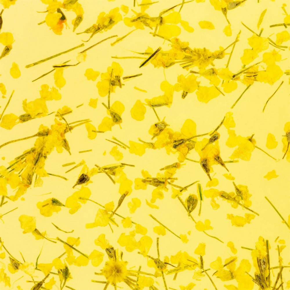 Гел със сухи цветя Flower gel №05 4 мл.