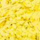 Гел със сухи цветя Flower gel №05 4 мл.