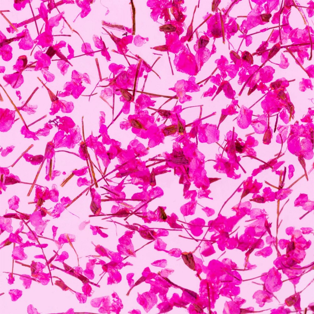Гел със сухи цветя Flower gel №07 4 мл.