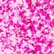 Гел със сухи цветя Flower gel №07 4 мл.