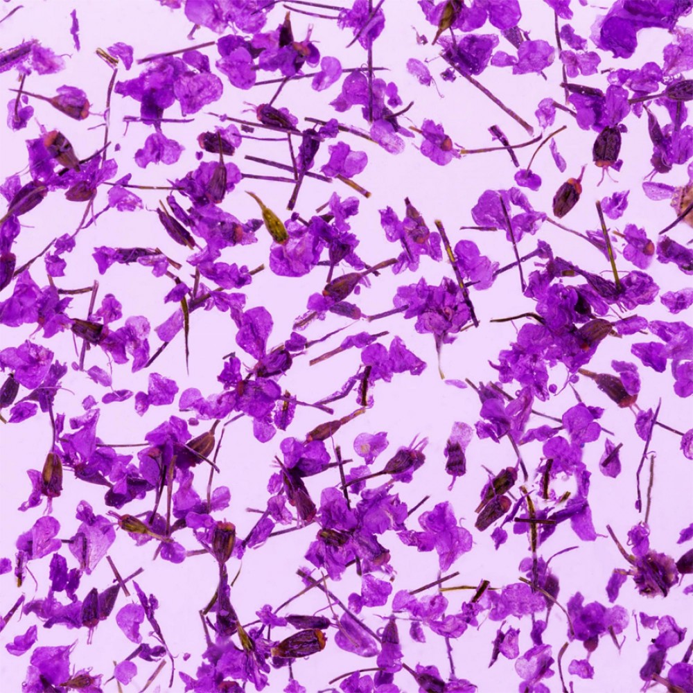 Гел със сухи цветя Flower gel №08 4 мл.