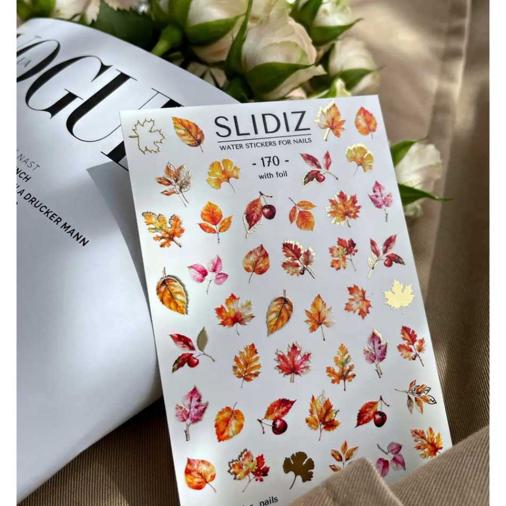 Слайдер Slidiz №170