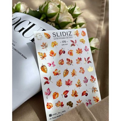 Слайдер Slidiz №170