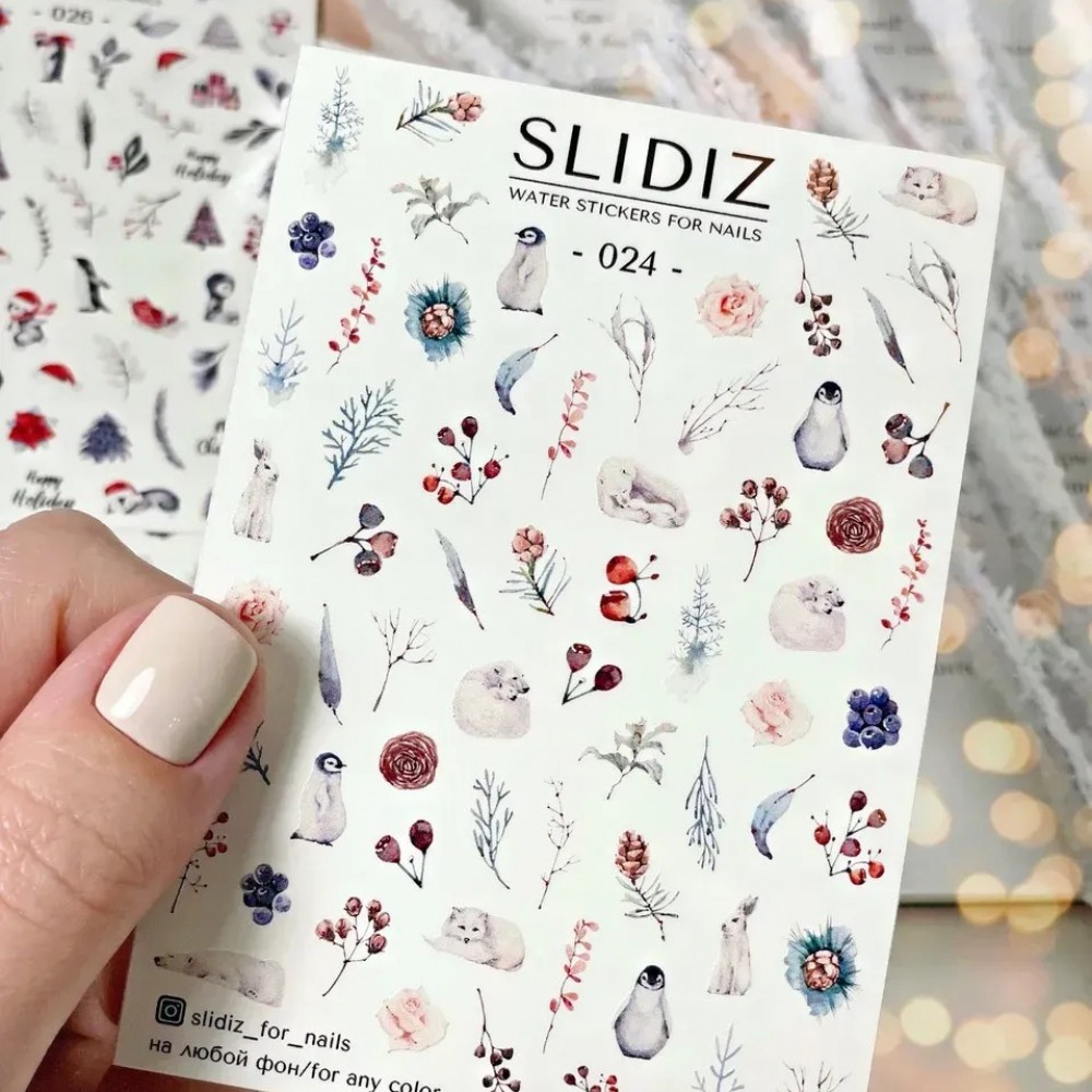 Слайдер Slidiz №024