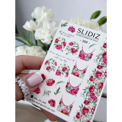 Слайдер Slidiz №288