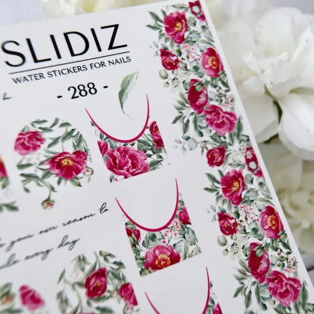 Слайдер Slidiz №288